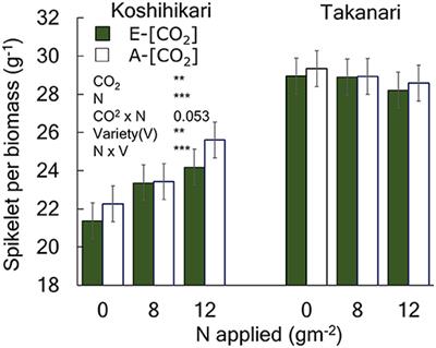 A High-Yielding Rice Cultivar “Takanari” Shows No N Constraints on CO2 Fertilization